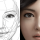 Proportions May Be The Key To A Beautiful Face